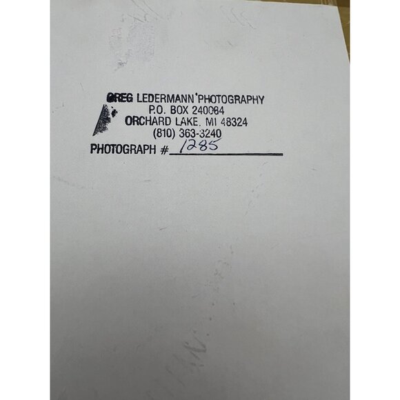 Signed Greg Ledermann Carolina Chickadee Photograph 7×5 Framed Bird Nature Art - Picture 4 of 5